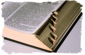 dictionary11