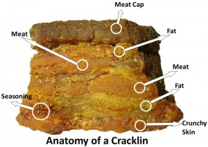 anatomija jednog čvarka "anatomija jednog čvarka"
