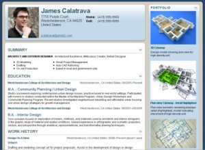 "primer lepe online radne biografije, CV"