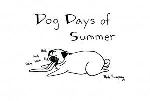 pseća vrelina - Dog Days of Summer* "pseća vrelina - Dog Days of Summer"
