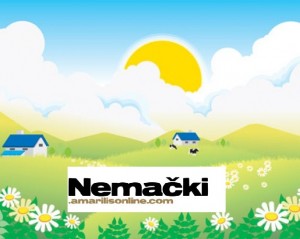 nemacki.amarilisonline.com*