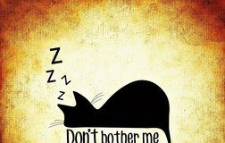 Present Continuous Tense – Sadašnje trajno vreme Present Continuous engleski