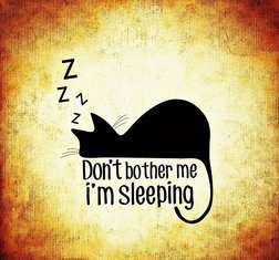 Present Continuous Tense – Sadašnje trajno vreme Present Continuous engleski