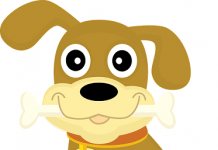 Određeni i neodređeni član u engleskom jeziku određeni član engleski