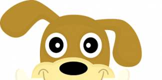 Određeni i neodređeni član u engleskom jeziku određeni član engleski