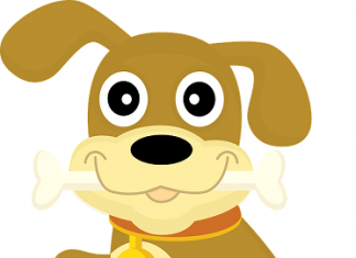 Određeni i neodređeni član u engleskom jeziku određeni član engleski