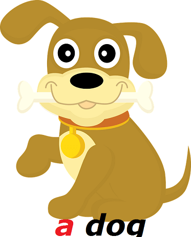 Određeni i neodređeni član u engleskom jeziku određeni član engleski