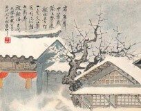 Petarde, ko je i kako napravio prvu petardu petarde