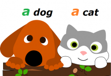 Neodređeni član u engleskom jeziku – A, an član u engleskom neodređeni