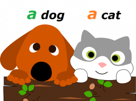 Neodređeni član u engleskom jeziku – A, an član u engleskom neodređeni