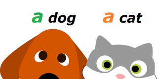 Neodređeni član u engleskom jeziku – A, an član u engleskom neodređeni