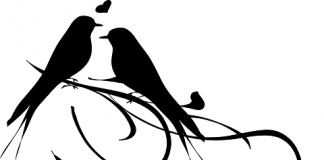 Kako da se udvaram – na nemačkom udvaram na nemačkom