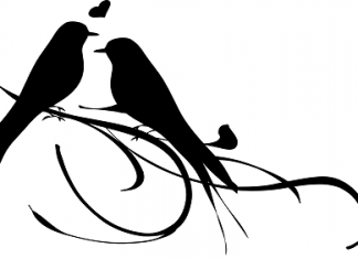 Kako da se udvaram – na nemačkom udvaram na nemačkom