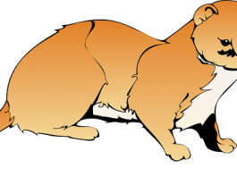 Šta su to Weasel Words u engleskom jeziku ili ko to mlati praznu slamu? weasel words