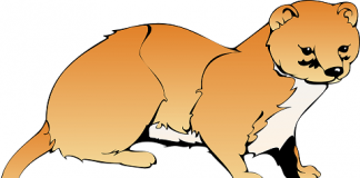 Šta su to Weasel Words u engleskom jeziku ili ko to mlati praznu slamu? weasel words