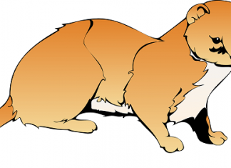 Šta su to Weasel Words u engleskom jeziku ili ko to mlati praznu slamu? weasel words