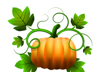 Šta je Pumpkin – tikva ili bundeva šta znači pumpkin
