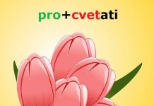 Prefiksi i sufiksi – uticaj starogrčkog i latinskog jezika prefiksi sufiksi