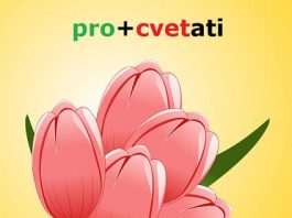 Prefiksi i sufiksi – uticaj starogrčkog i latinskog jezika prefiksi sufiksi