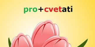 Prefiksi i sufiksi – uticaj starogrčkog i latinskog jezika prefiksi sufiksi