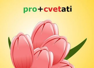 Prefiksi i sufiksi – uticaj starogrčkog i latinskog jezika prefiksi sufiksi