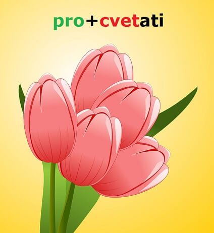 Prefiksi i sufiksi – uticaj starogrčkog i latinskog jezika prefiksi sufiksi