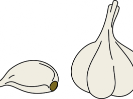 Priča o crnom i belom luku, Egipćanima i ruskim crkvama belom luku