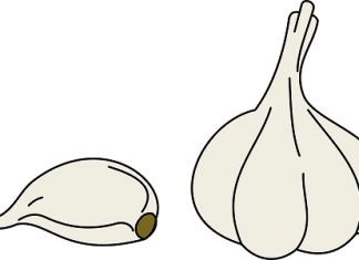 Priča o crnom i belom luku, Egipćanima i ruskim crkvama belom luku