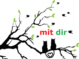 Mit – predlozi sa dativom u nemačkom jeziku mit predlozi nemački