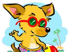 Pasje vrućine – priča o zvezdi Sirijus pasje vrućine