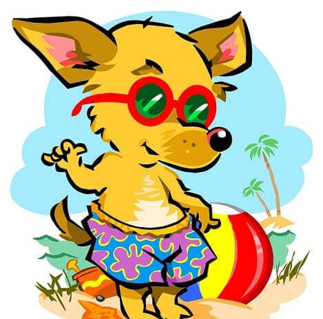 Pasje vrućine – priča o zvezdi Sirijus pasje vrućine