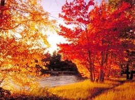 Indijansko, miholjsko ili bablje leto miholjsko leto