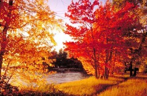 Indijansko, miholjsko ili bablje leto miholjsko leto