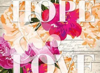 Šta su to stative verbs u engleskom jeziku – glagolski vid u srpskom stative verbs engleski