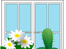 Prilozi za mesto u nemačkom, Lokaladverbien prilozi za mesto nemački