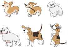 Audio lekcija broj 13 – glagol haben audio lekcija nemački