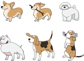 Audio lekcija broj 13 – glagol haben audio lekcija nemački