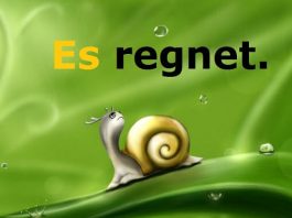 Zamenica, Pronomen es u nemačkom jeziku pronomen es nemački