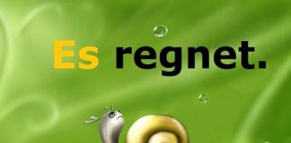 Zamenica, Pronomen es u nemačkom jeziku pronomen es nemački