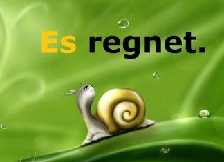 Zamenica, Pronomen es u nemačkom jeziku pronomen es nemački