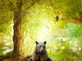 Priča o pčeli matici, medu, medovini, lipi i medvedu – horoskopski znak Bika priča o pčeli