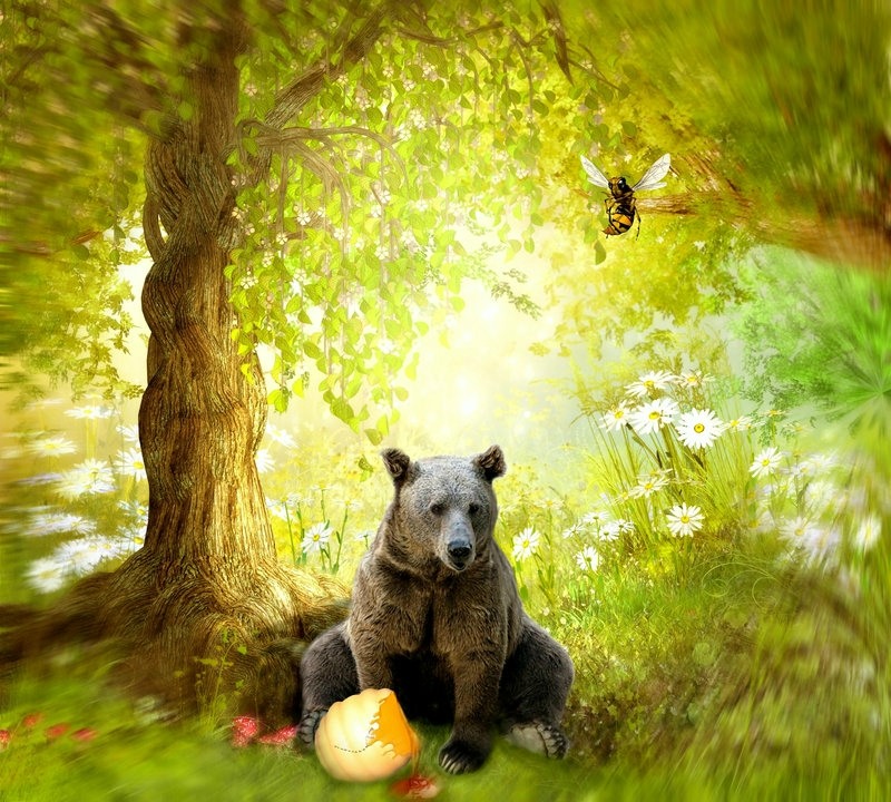 Медведя пчела мед. Медведь в лесу. Мишка в лесу. Медвежонок в лесу. Медведь в осеннем лесу.