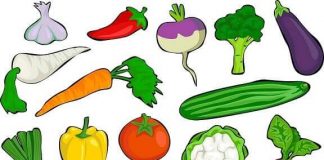 Nemački nivo A1/1- imenice sa prevodom, II deo nemački nivo A imenice