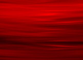 Priča o crvenoj boji, crvima i karminu – poreklo reči crvenoj boji