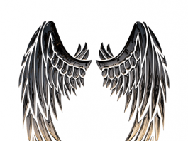 Krilo, krila, okrilje, značenje reči – priča o  vilama, poreklo reči krila okrilje izraz