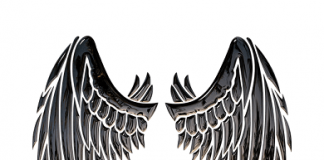 Krilo, krila, okrilje, značenje reči – priča o  vilama, poreklo reči krila okrilje izraz