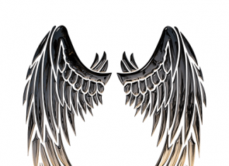 Krilo, krila, okrilje, značenje reči – priča o vilama, poreklo reči krila okrilje izraz