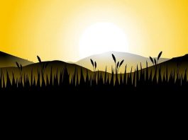 Dobro jutro, Guten Morgen – Morgen ili mrak, poreklo reči dobro jutro