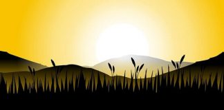 Dobro jutro, Guten Morgen – Morgen ili mrak, poreklo reči dobro jutro