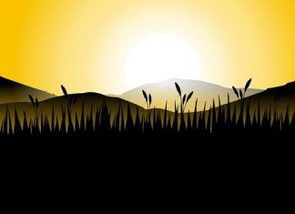 Dobro jutro, Guten Morgen – Morgen ili mrak, poreklo reči dobro jutro